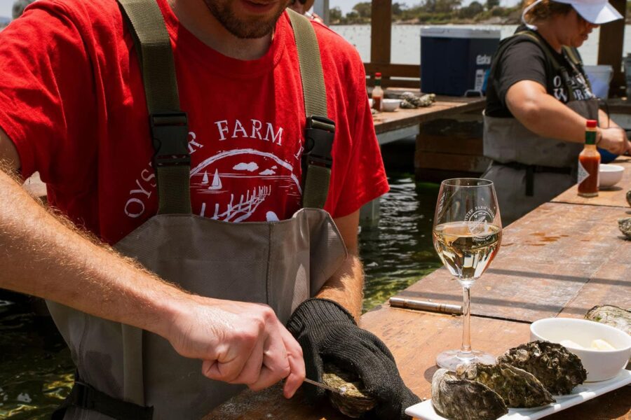 Oyster Farm Tours, Coffin Bay; Image Credit: Frame